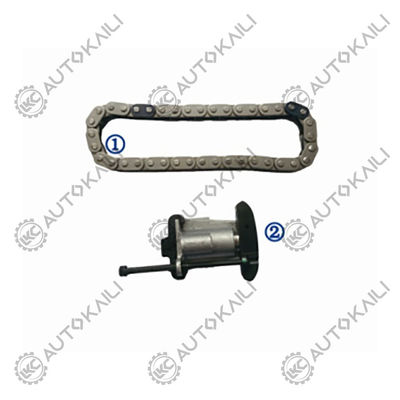 Plastic PA66 / PA46 Timing Chain Kit For FORD EDGE SUV Diesel T8CC/T9CE 2.2L 15-18